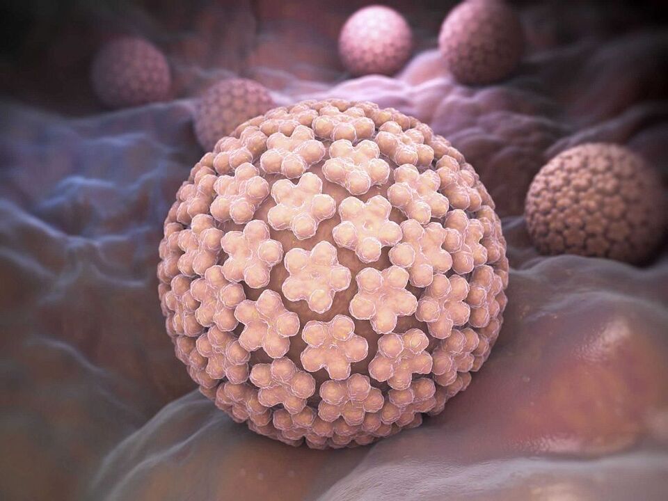 a HPV okai